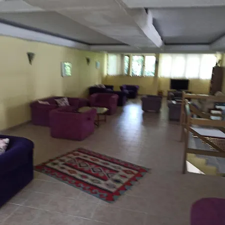 Dias 2*